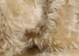 Champagne 24 mm (nearly one inch) blond, dense, distressed mohair for teddy bears with a warm beige backing Champagne is a gorgeous blond gold mohair with a soft and fluffy (nearly) 1 inch pile. It's a great colour for medium and large traditional teddy bears, it's a proper 'teddy bear' colour.