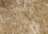 Champagne 24 mm (nearly one inch) blond, dense, distressed mohair for teddy bears with a warm beige backing Champagne is a gorgeous blond gold mohair with a soft and fluffy (nearly) 1 inch pile. It's a great colour for medium and large traditional teddy bears, it's a proper 'teddy bear' colour.
