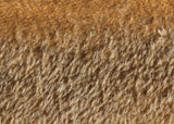 Singed Muffin 11 mm quite sparse, straight pile, mohair for teddy bears with a warm antique gold pile with black threads and an antique gold backing