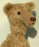 Close-up of Hank teddy bear's face with a blurred background