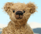 Mainwaring's head, a bear made from the Mainwaring Mohair Teddy Bear Kit. A jointed teddy bear kit in brown mohair by Make A Teddy to make an 8 inch/20 cm teddy bear.