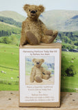 Mainwaring teddy bear sitting on his kit box