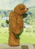 Treacle teddy bear in profile standing on a wooden surface with a scenic background