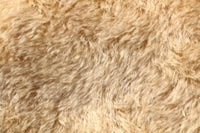 Acacia Honey 20 mm blond gold, dense, mohair for teddy bears with a slight swirl in the pile and a beige backing