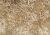Champagne 24 mm (nearly one inch) blond, dense, distressed mohair for teddy bears with a warm beige backing Champagne is a gorgeous blond gold mohair with a soft and fluffy (nearly) 1 inch pile. It's a great colour for medium and large traditional teddy bears, it's a proper 'teddy bear' colour. 