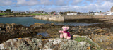 Lilly Pilly at The Isle of Whithorn. Lilly Pilly Mohair Teddy Bear Kit. A jointed teddy bear kit by Make A Teddy to make a 7.5 inch/19 cm teddy bear. We have created this kit with everything you need apart from scissors and a few things you will have at home. The instructions are thorough but we are on hand for extra support by phone