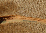 Singed Muffin 11 mm quite sparse, straight pile, mohair for teddy bears with a warm antique gold pile with black threads and an antique gold backing